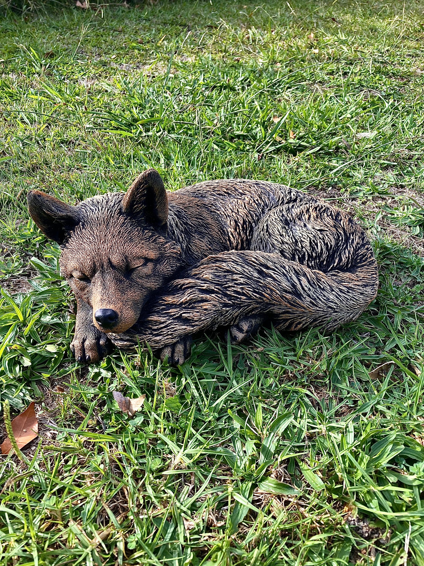 Sleeping Fox