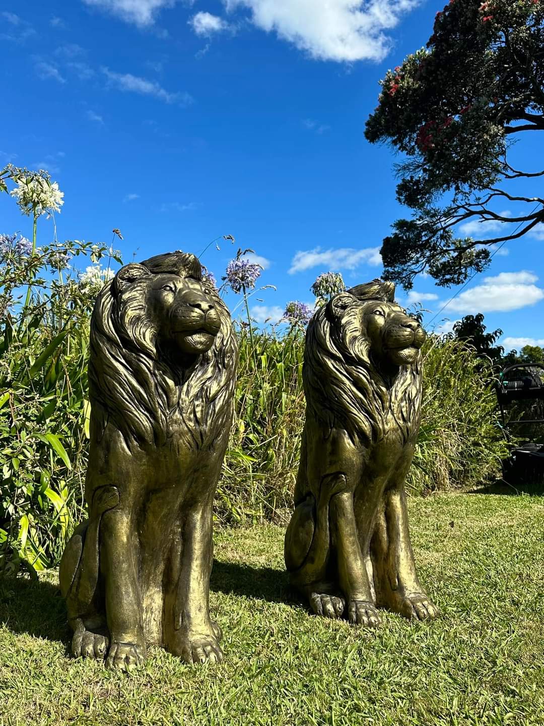 XL Lion Statues x2