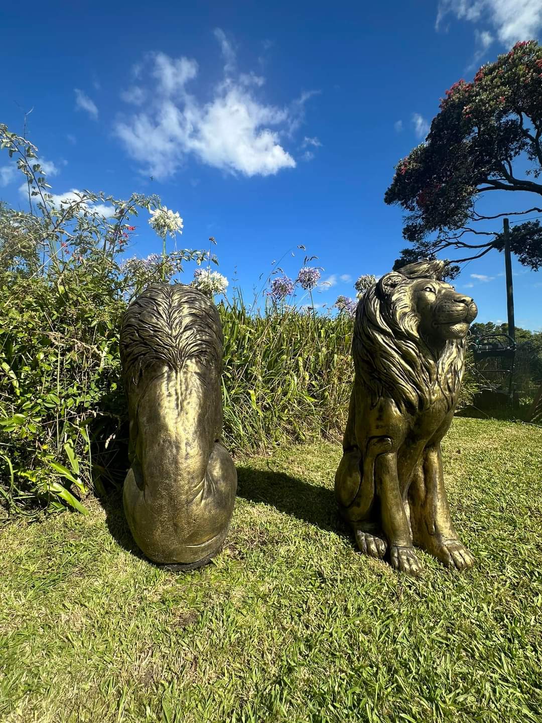 XL Lion Statues x2