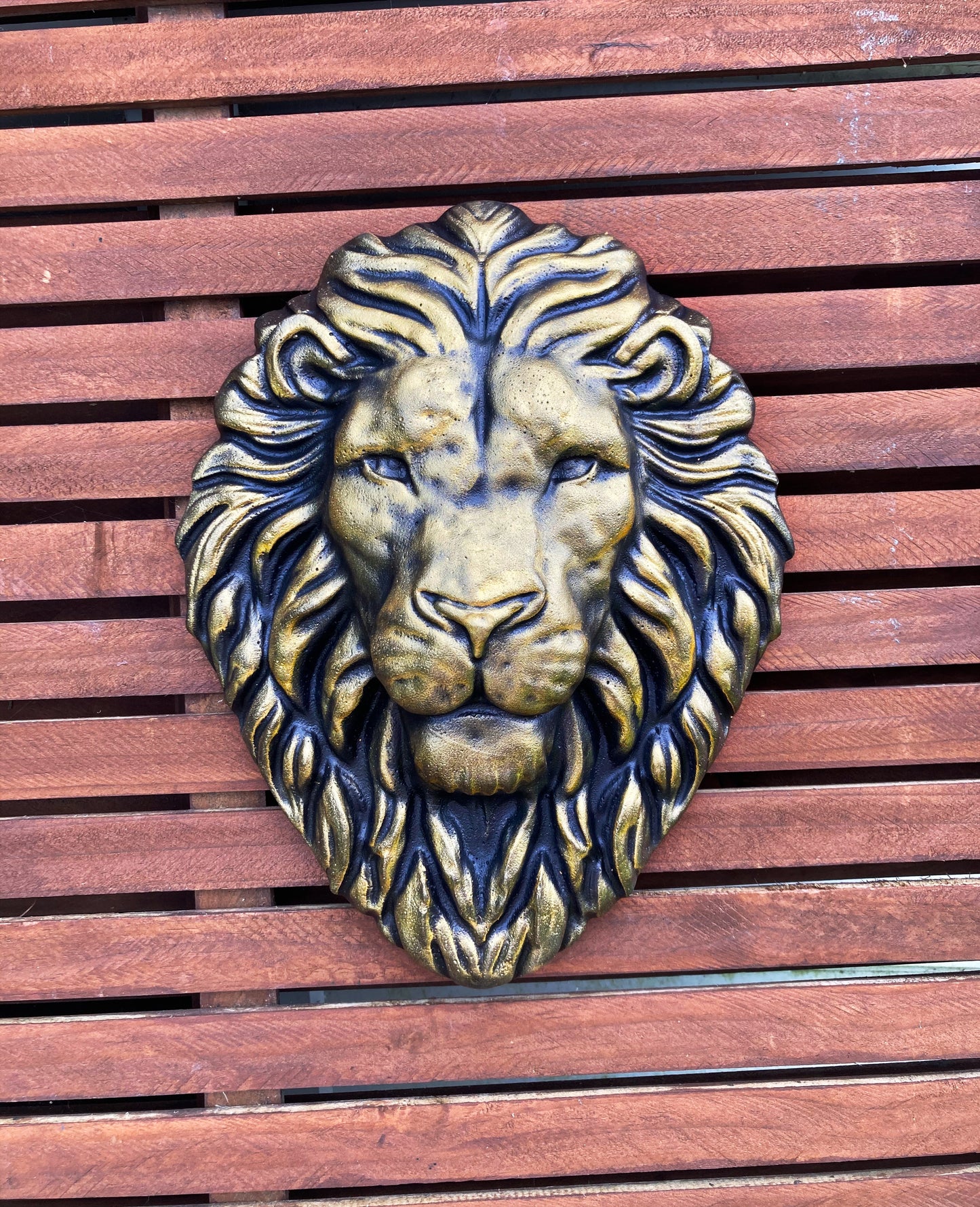 Lion Wall hanging