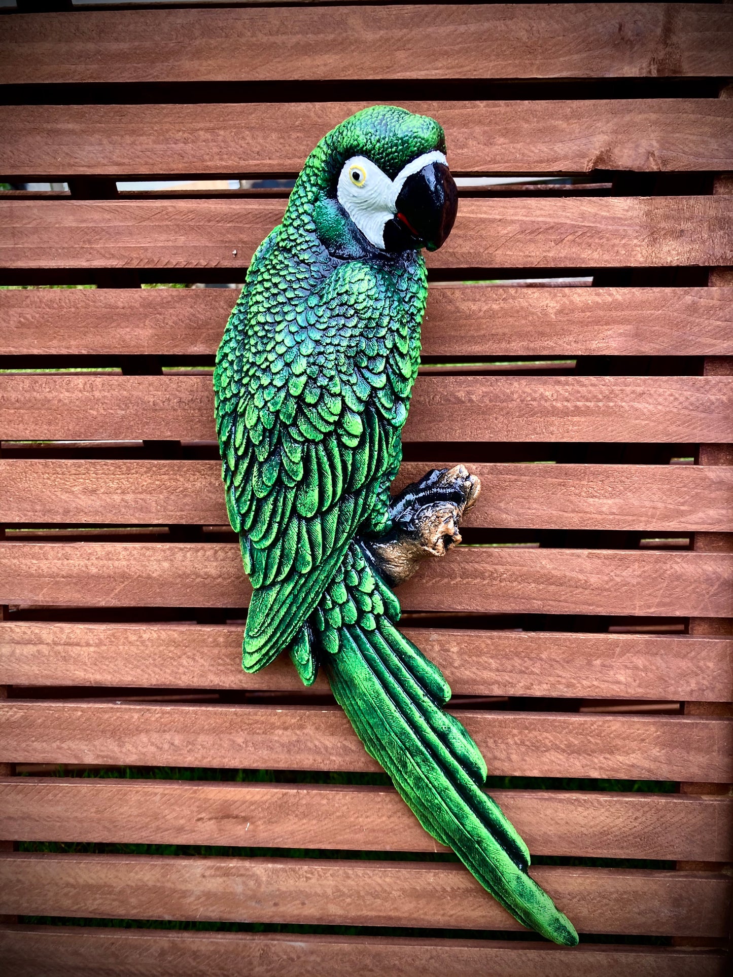 Parrot