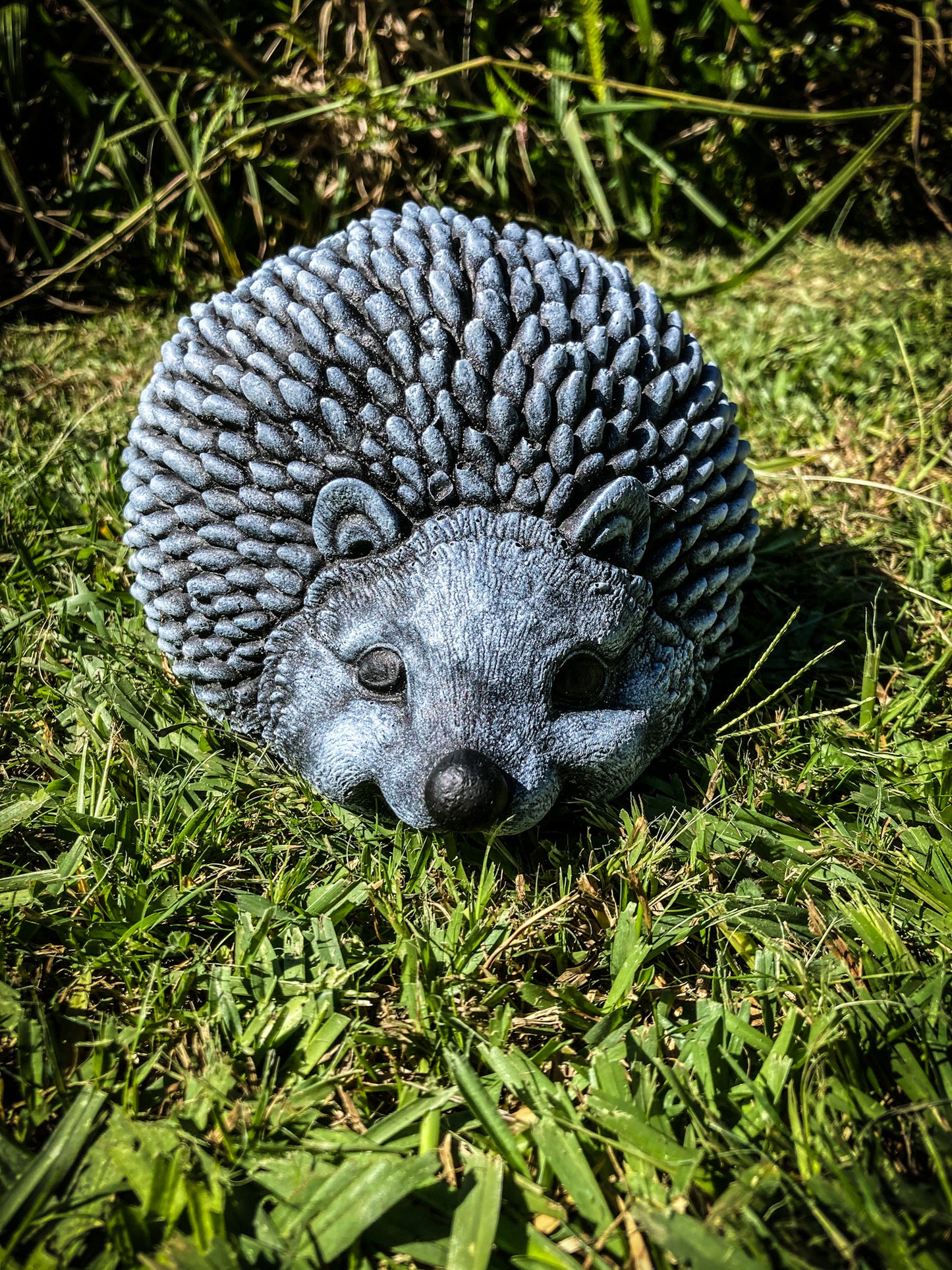 Hedgehog