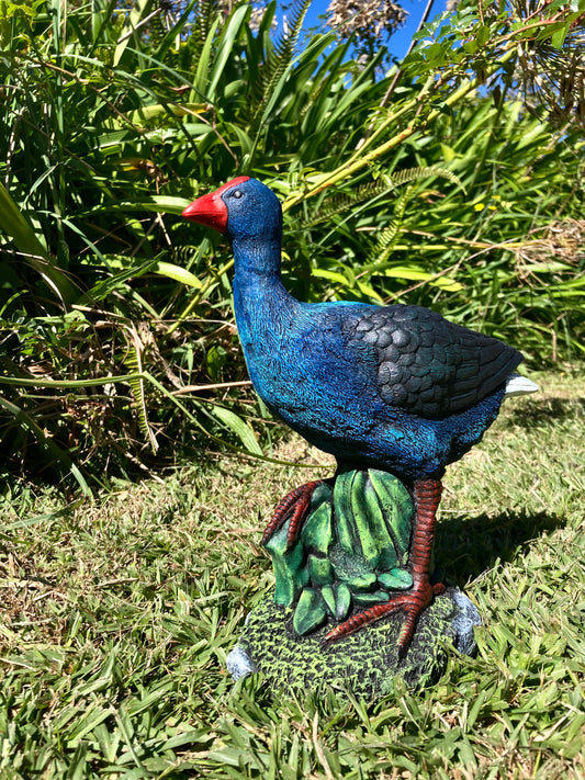 Pukeko