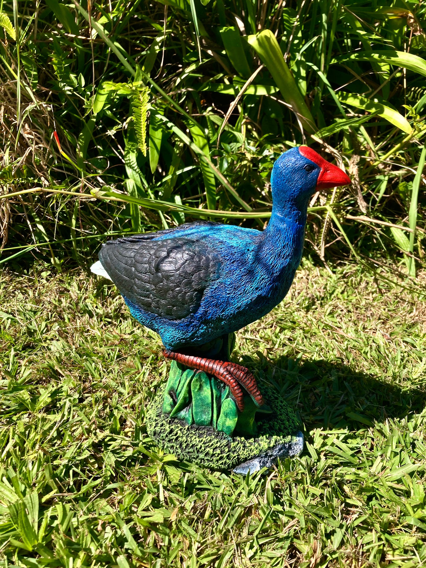 Pukeko